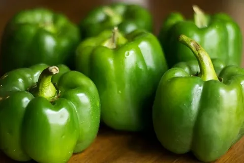 فلفل دلمه رنگی قرمز و سبز ترکیب تازه سالادی